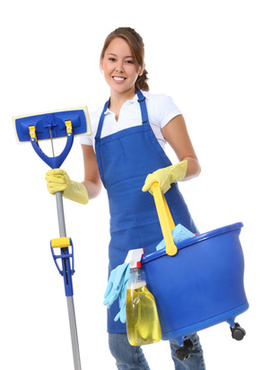 Techniclean professional cleaning staff